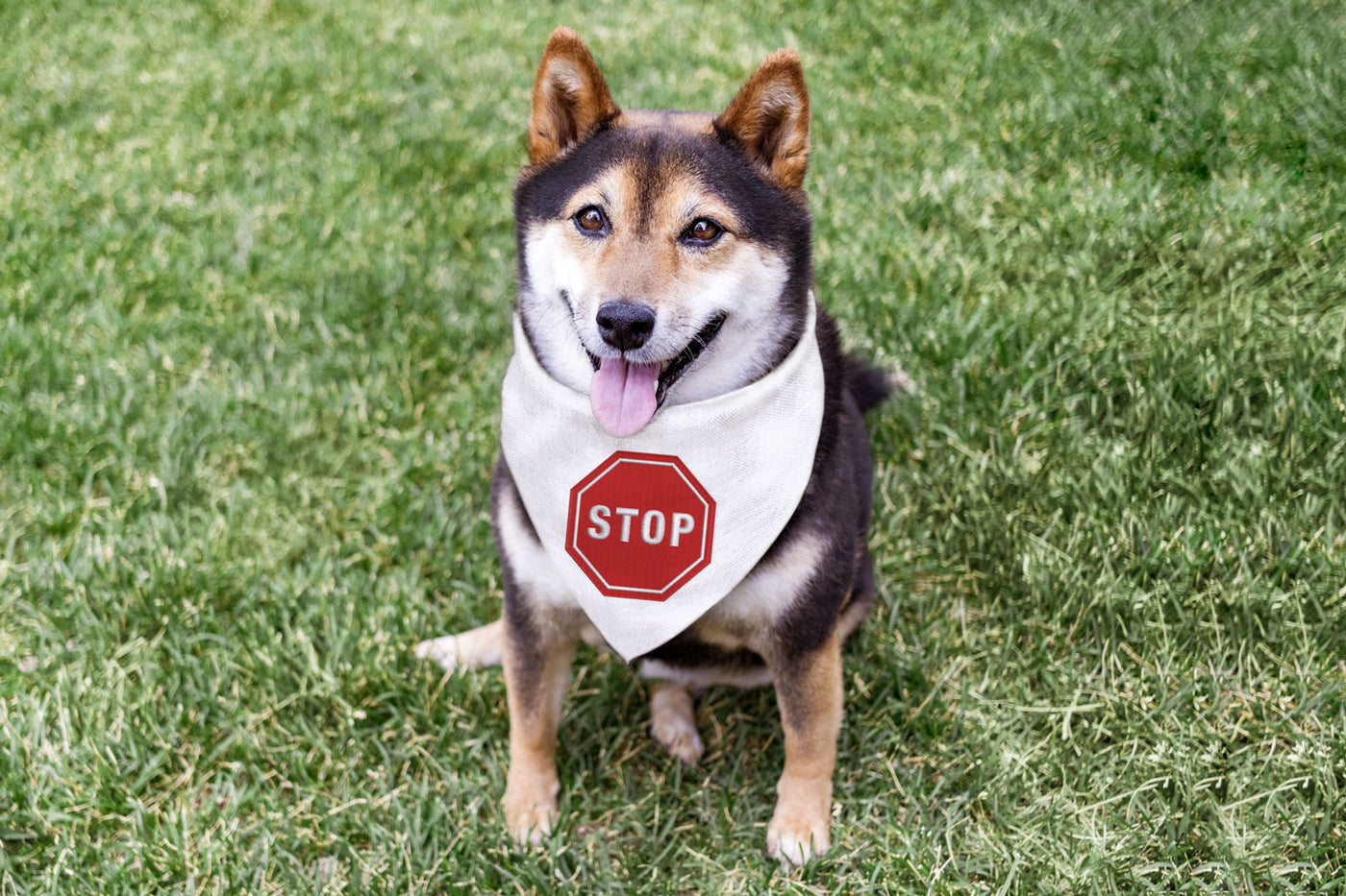 Stop Sign Octagon Mini Embroidery File