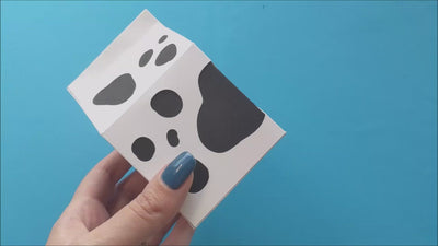 Cow milk carton product demo video
