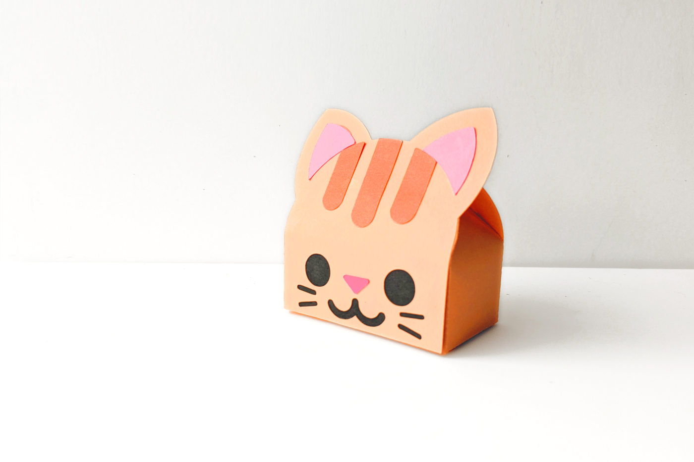 cat gift box SVG