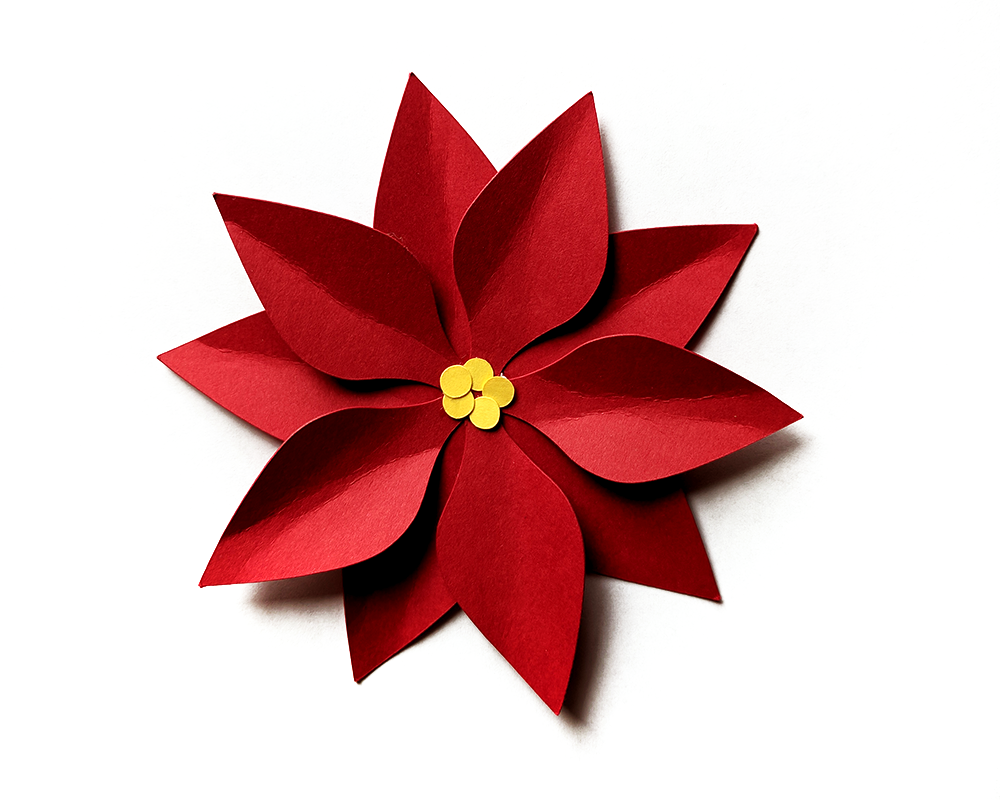 A single paper poinsettia. The petals have been curled for a 3D effect.