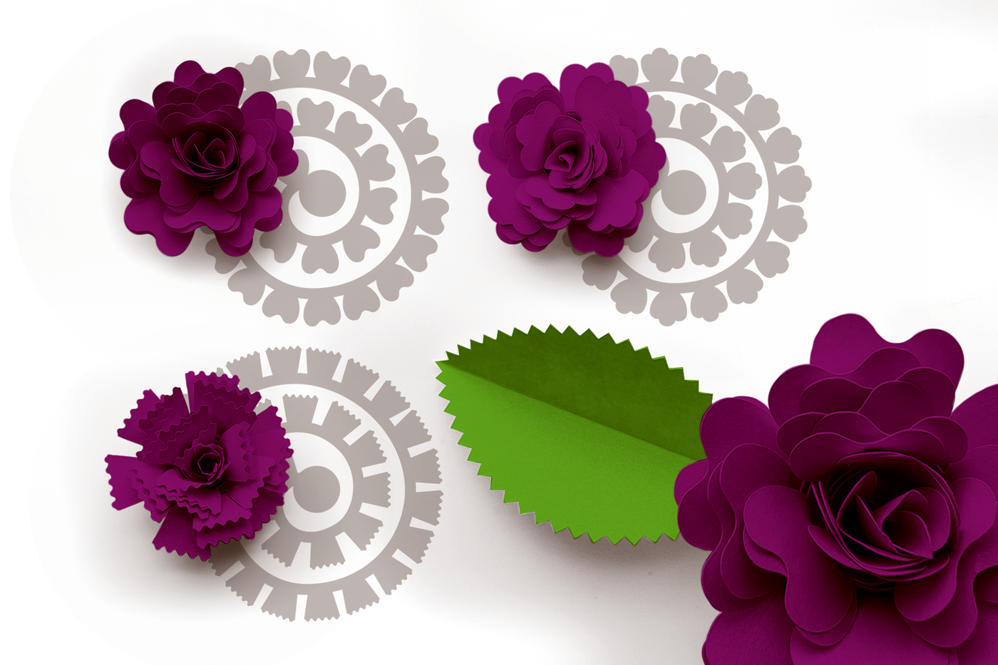 Rolled paper flower SVG design